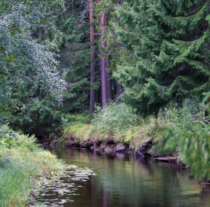 Miljöbild från Åkerströms