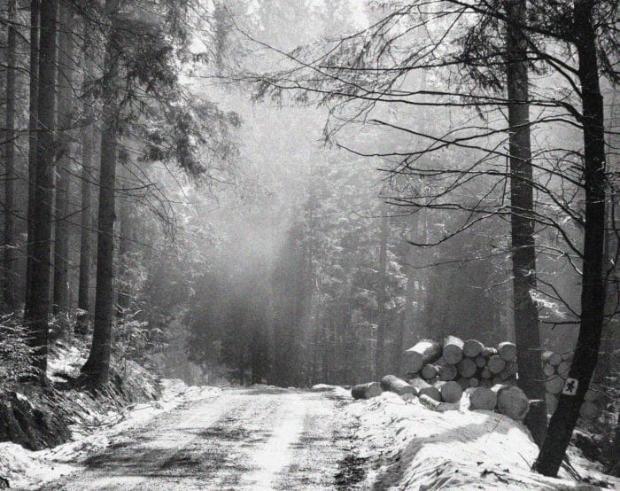 Skogsbruk Åkerströms historia